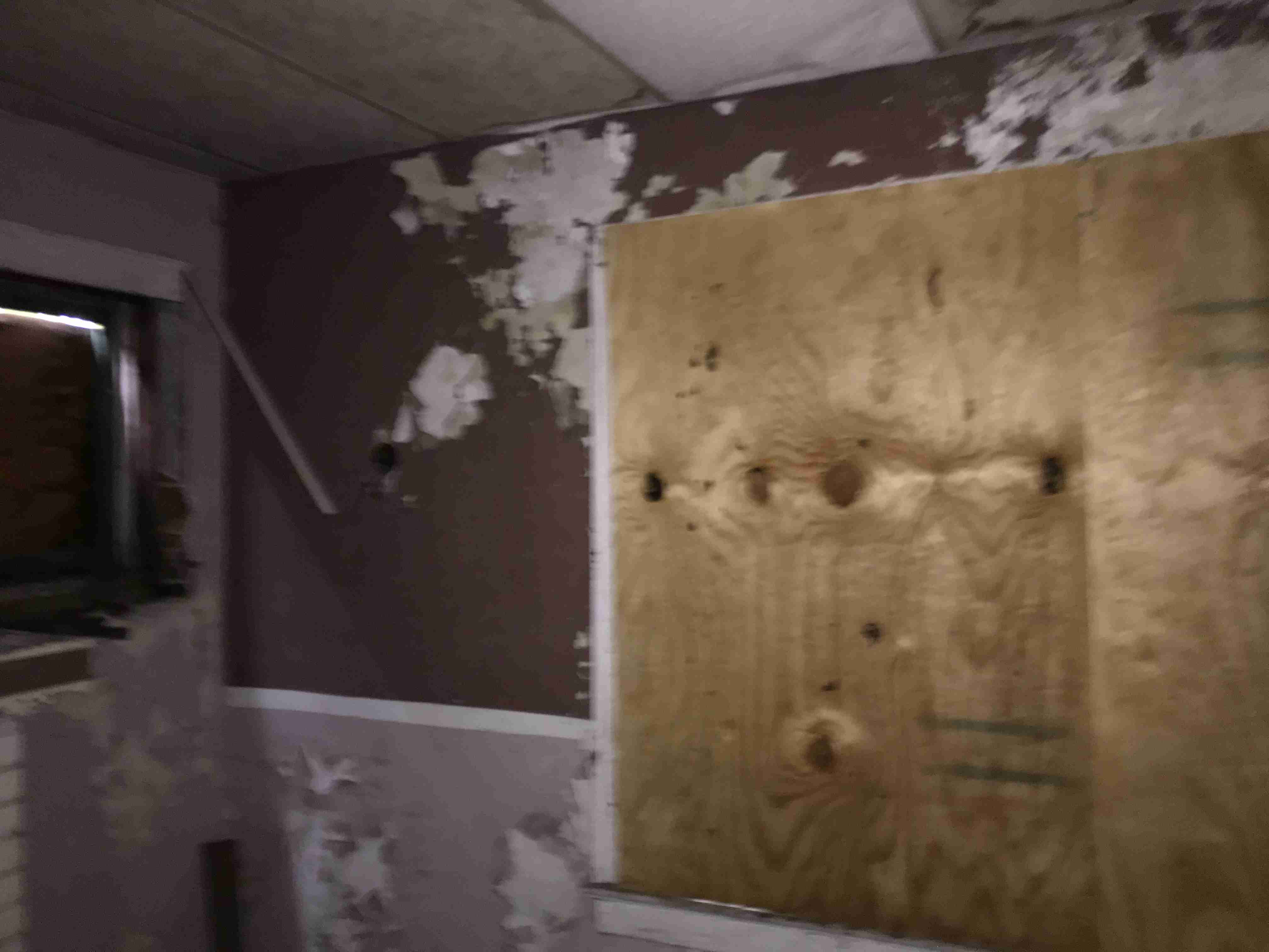 Photo Sep 10, 1 06 48 PM.jpg